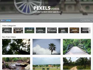 Pexels videos